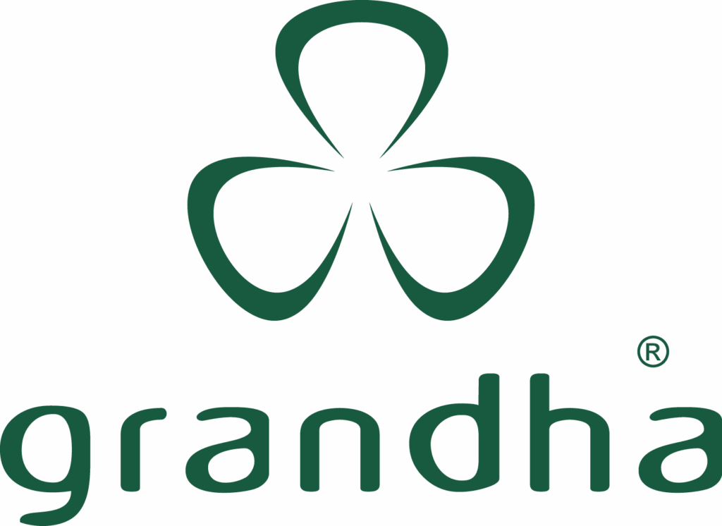 grandha hair therapy